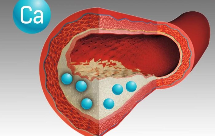 Кальциевая известь