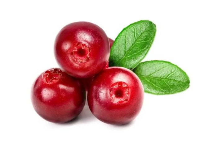 Экстракт плодов клюквы