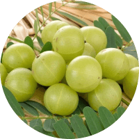 Иллюстрация Амла