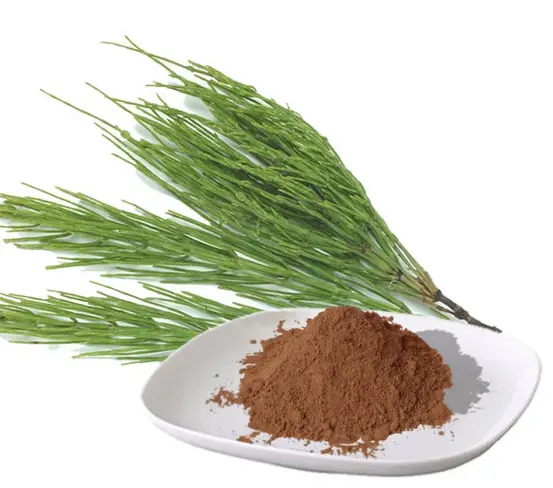 Экстракт хвоща полевого