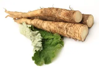 Экстракт корней лопуха