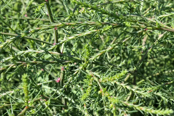 специалист в интервью