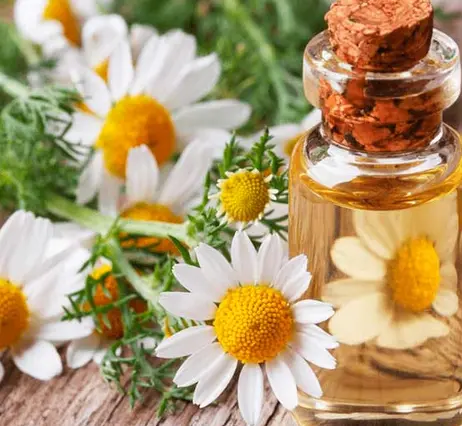 Водный экстракт ромашки аптечной