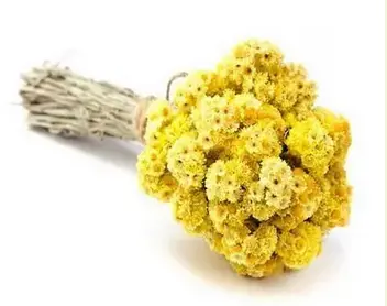 Водный экстракт бессмертника песчаного